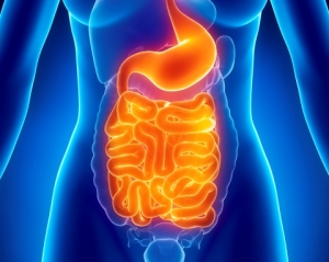 &Pi;&Epsilon;&Rho;&Iota;&Tau;&Omicron;&Nu;&Iota;&Tau;&Iota;&Delta;&Alpha;