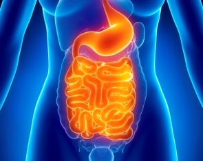 &Pi;&Epsilon;&Rho;&Iota;&Tau;&Omicron;&Nu;&Iota;&Tau;&Iota;&Delta;&Alpha;