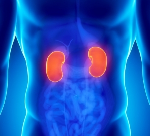 &Kappa;&Alpha;&Rho;&Kappa;&Iota;&Nu;&Omicron;&Sigma; &Tau;&Omicron;&Upsilon; &Nu;&Epsilon;&Phi;&Rho;&Omicron;&Upsilon; (&Nu;&Epsilon;&Phi;&Rho;&Omicron;&Kappa;&Upsilon;&Tau;&Tau;&Alpha;&Rho;&Iota;&Kappa;&Omicron; &Kappa;&Alpha;&Rho;&Kappa;&Iota;&Nu;&Omega;&Mu;&Alpha;)