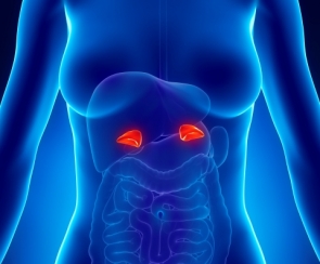 &Epsilon;&Kappa;&Tau;&Omicron;&Mu;&Eta; &Epsilon;&Pi;&Iota;&Nu;&Epsilon;&Phi;&Rho;&Iota;&Delta;&Iota;&Omicron;&Upsilon;