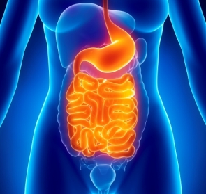 &Omicron;&Rho;&Theta;&Omicron;&Kappa;&Omicron;&Lambda;&Iota;&Kappa;&Omicron;&Sigma; &Kappa;&Alpha;&Rho;&Kappa;&Iota;&Nu;&Omicron;&Sigma;