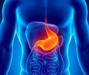 &Kappa;&Alpha;&Rho;&Kappa;&Iota;&Nu;&Omicron;&Sigma; &Tau;&Omicron;&Upsilon; &Sigma;&Tau;&Omicron;&Mu;&Alpha;&Chi;&Omicron;&Upsilon; (&Gamma;&Alpha;&Sigma;&Tau;&Rho;&Iota;&Kappa;&Omicron;&Sigma; &Kappa;&Alpha;&Rho;&Kappa;&Iota;&Nu;&Omicron;&Sigma;)