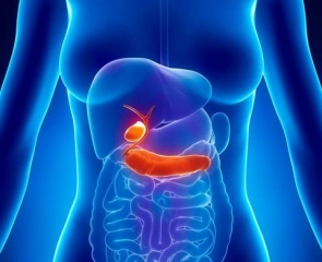 &Chi;&Omicron;&Lambda;&Eta;&Delta;&Omicron;&Chi;&Omicron;&Sigma; &Kappa;&Upsilon;&Sigma;&Tau;&Eta;