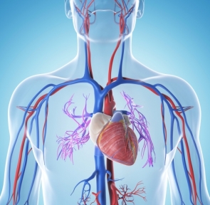 &Alpha;&Rho;&Tau;&Eta;&Rho;&Iota;&Omicron;&Phi;&Lambda;&Epsilon;&Beta;&Iota;&Kappa;&Epsilon;&Sigma; &Delta;&Upsilon;&Sigma;&Pi;&Lambda;&Alpha;&Sigma;&Iota;&Epsilon;&Sigma;